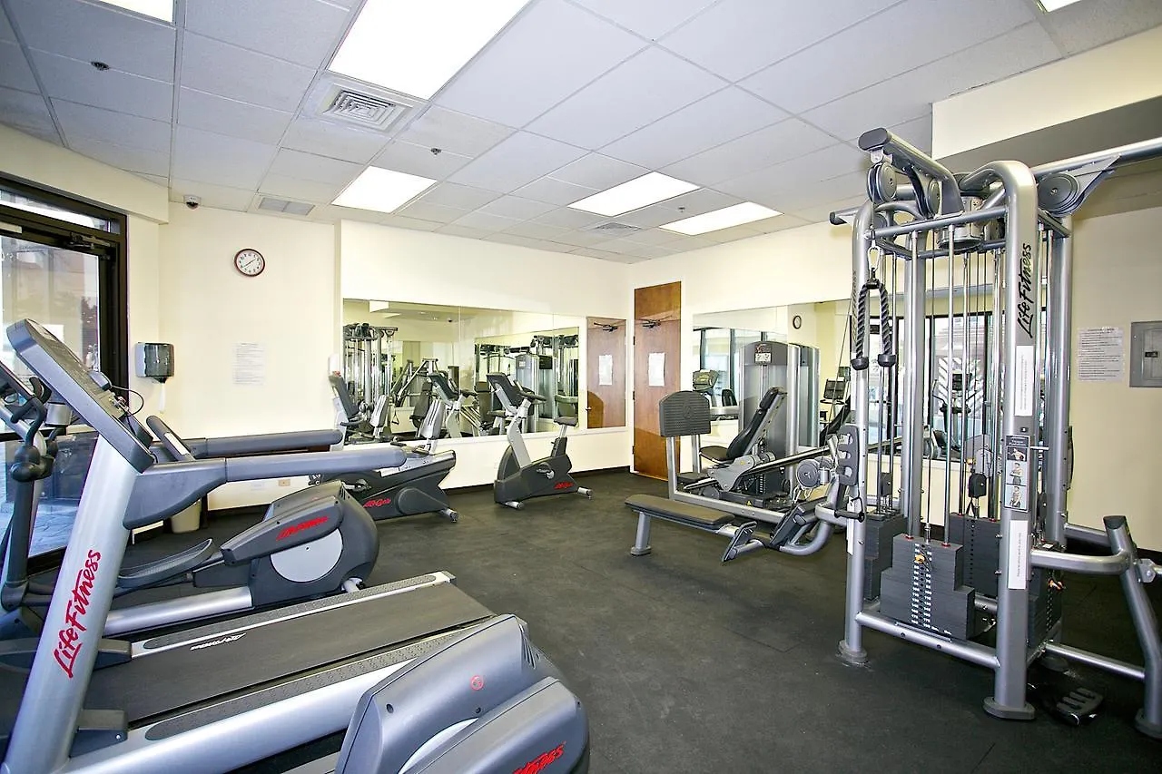 Island Colony Studio 1415 Honolulu